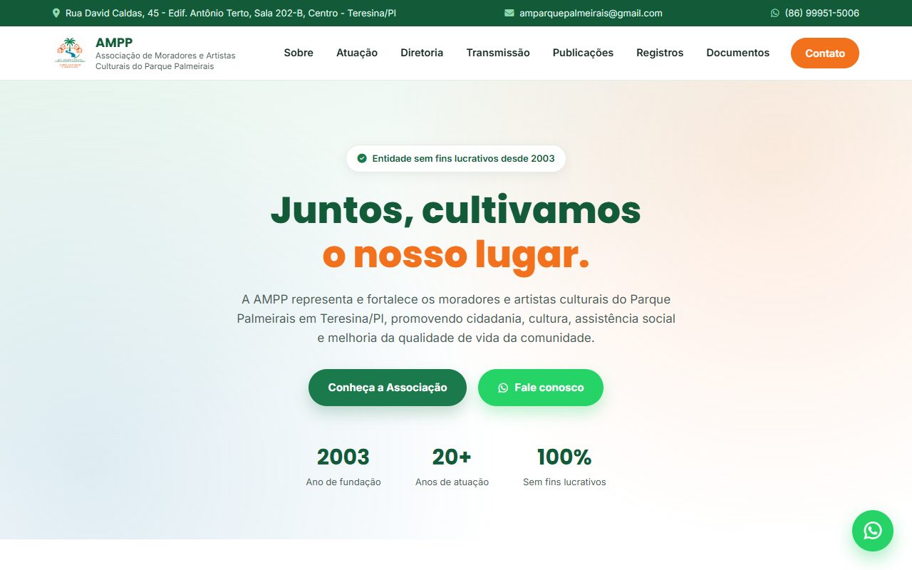 Página inicial do site da AMPP Palmeirais